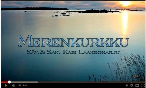 Kari Laaksoharju esiintyy kitaran kanssa Merenkurkun maisemissa