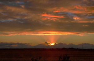 Eekun syksyinen puisto Vaasassa, ilmastonmuutoksen edelläkävijäkaupungissa