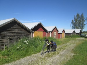 Jari Laurila polkupyörän selässä, taustalla maaseutumaisemaa