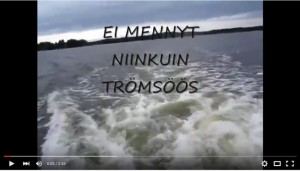 Epäonnistunut leivonnainen tai ruoka-annos, ehkä palanut tai romahtanut