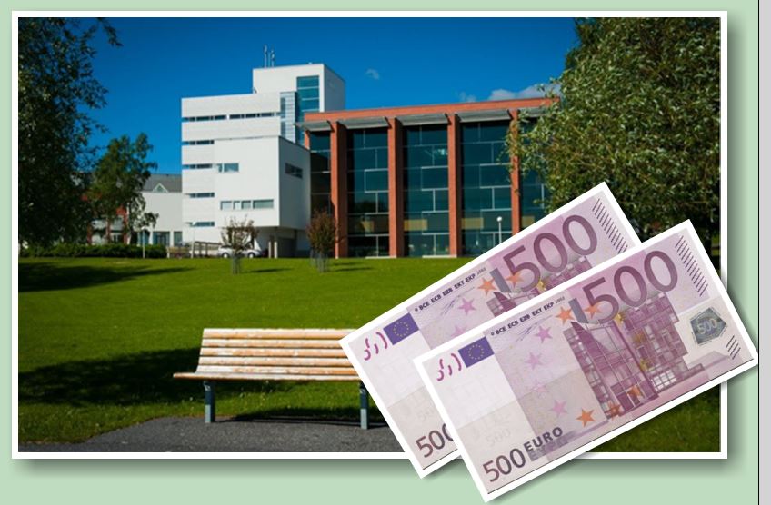 Kaksi 500 euron seteliä, yhteensä 1000 euroa