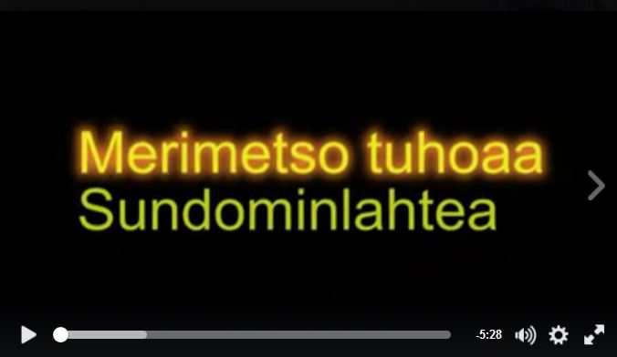 Merimetsojen ulosteiden valkaisema puu Vaasan saaristossa