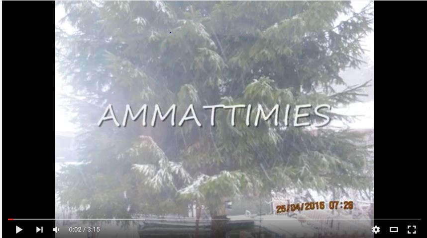 Herkoo11-yhtyeen jäsenet esiintymässä lavalla