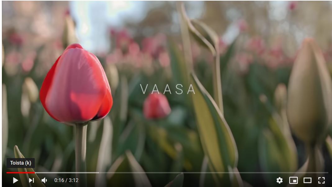 Nuoria kuvaamassa videota Vaasan kaupungista osana Erasmus-ohjelmaa