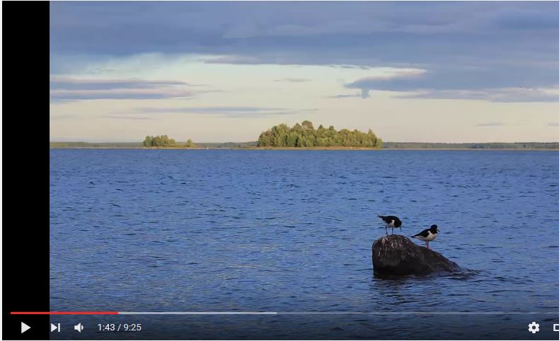 Iqbal Ahmed Waladbag kuvaa Vaasan luonnon kauneutta