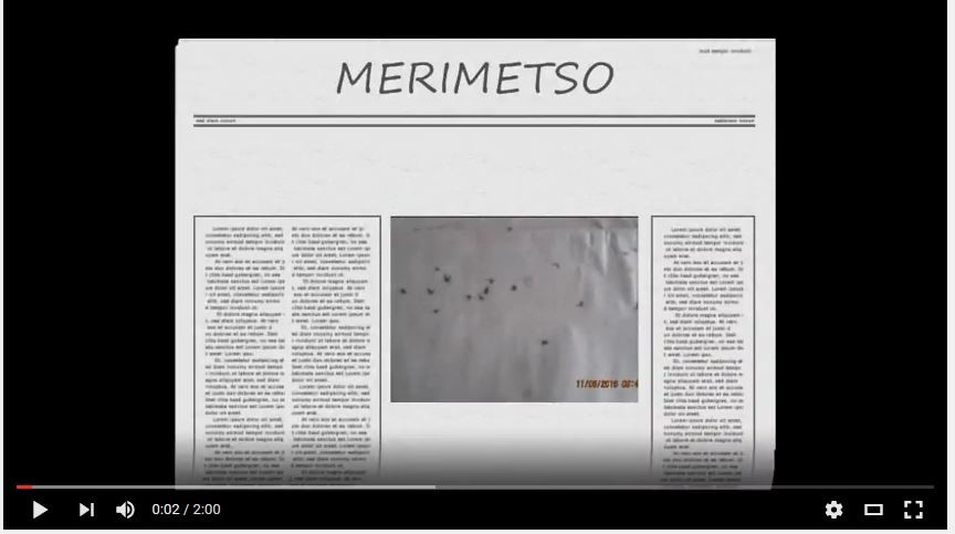 Merimetsoja pesimäsaarella, puut kuolleet lintujen ulosteista