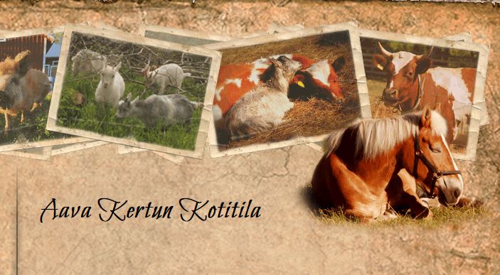 Aava Kertun kotitila, jossa Jari Laurila valmistautuu pyöräilyyn