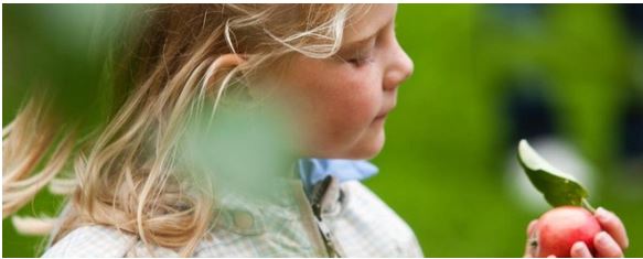 Elinvoimastrategia-asiakirja pöydällä, taustalla epäselvä toimistoympäristö