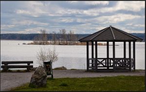 Merimetsoja pesimäsaarella Vaasan edustalla