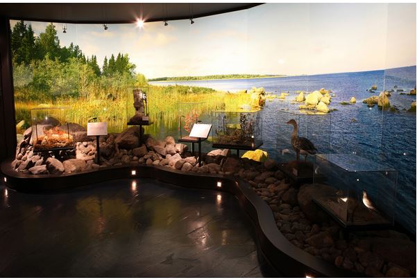 Terranovan perusnäyttely Pohjanmaan museossa