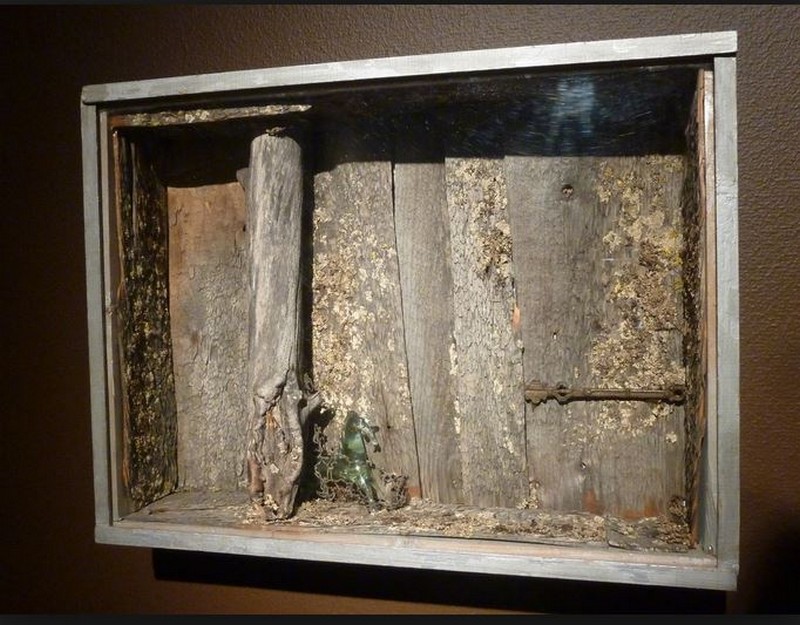 Juhani Harri, kuvataiteilija, katsoo vakavana kameraan