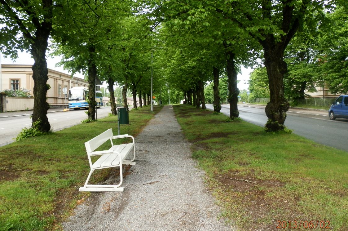 Korsholmanpuistikko Vaasassa, puita ja rakennuksia reunustava katu