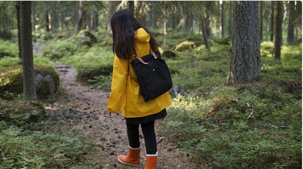 Vaasan hiilineutraaliustavoitetta kuvaava havainnekuva