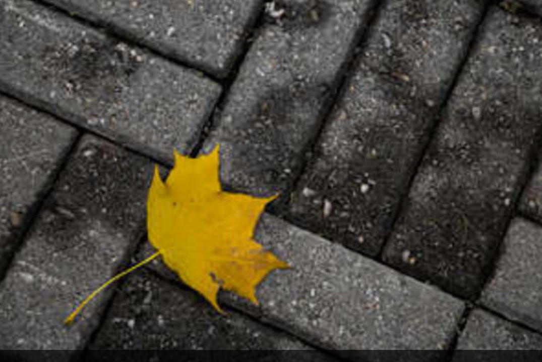 Nainen istuu maassa, kädet kasvojen edessä