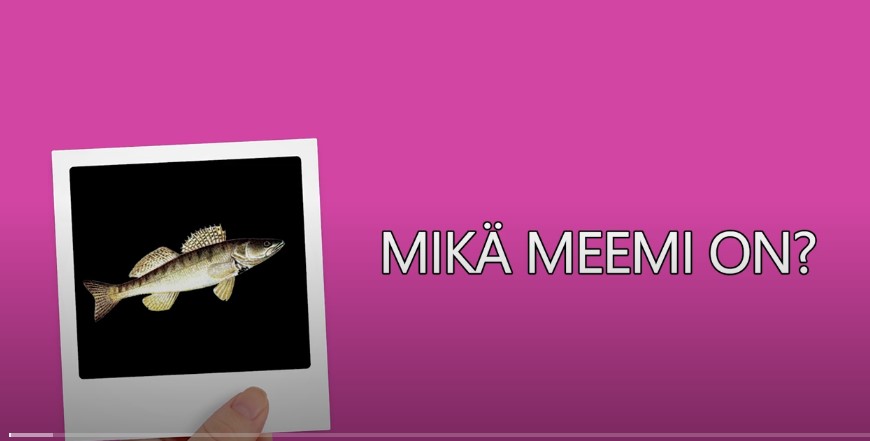 Hauska internet-meemi, joka leviää nopeasti verkossa