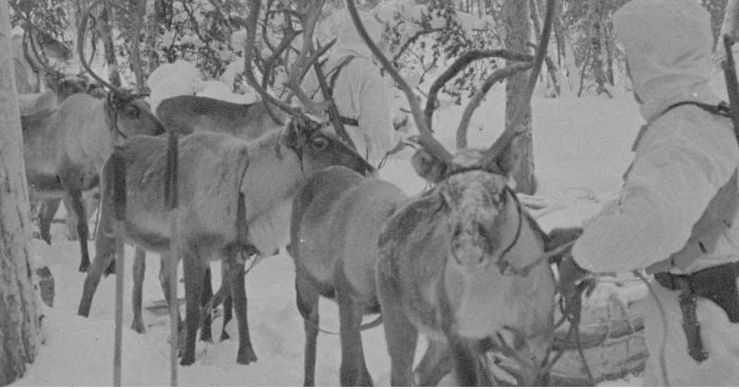 Saamelaisia sotilaita talvisodan aikaisissa univormuissa